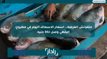 متفوتش الفرصة.. أسعار الأسماك اليوم في مطروح: البلطي وصل لـ80 جنيه